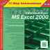 TeachPro MS Excel 2000.  
